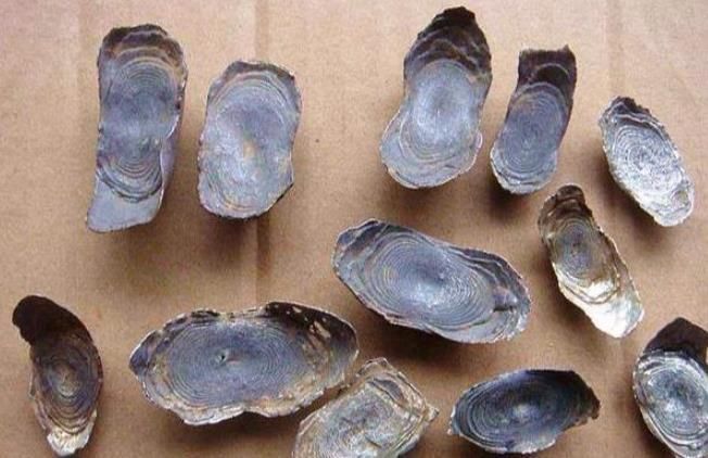  银子|古人在客栈吃完饭，为何不问多少放下银子就走？小二也从不数