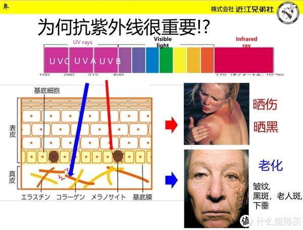 sp 品牌专栏 篇三：深受消费者喜欢的护肤品牌-近江兄弟