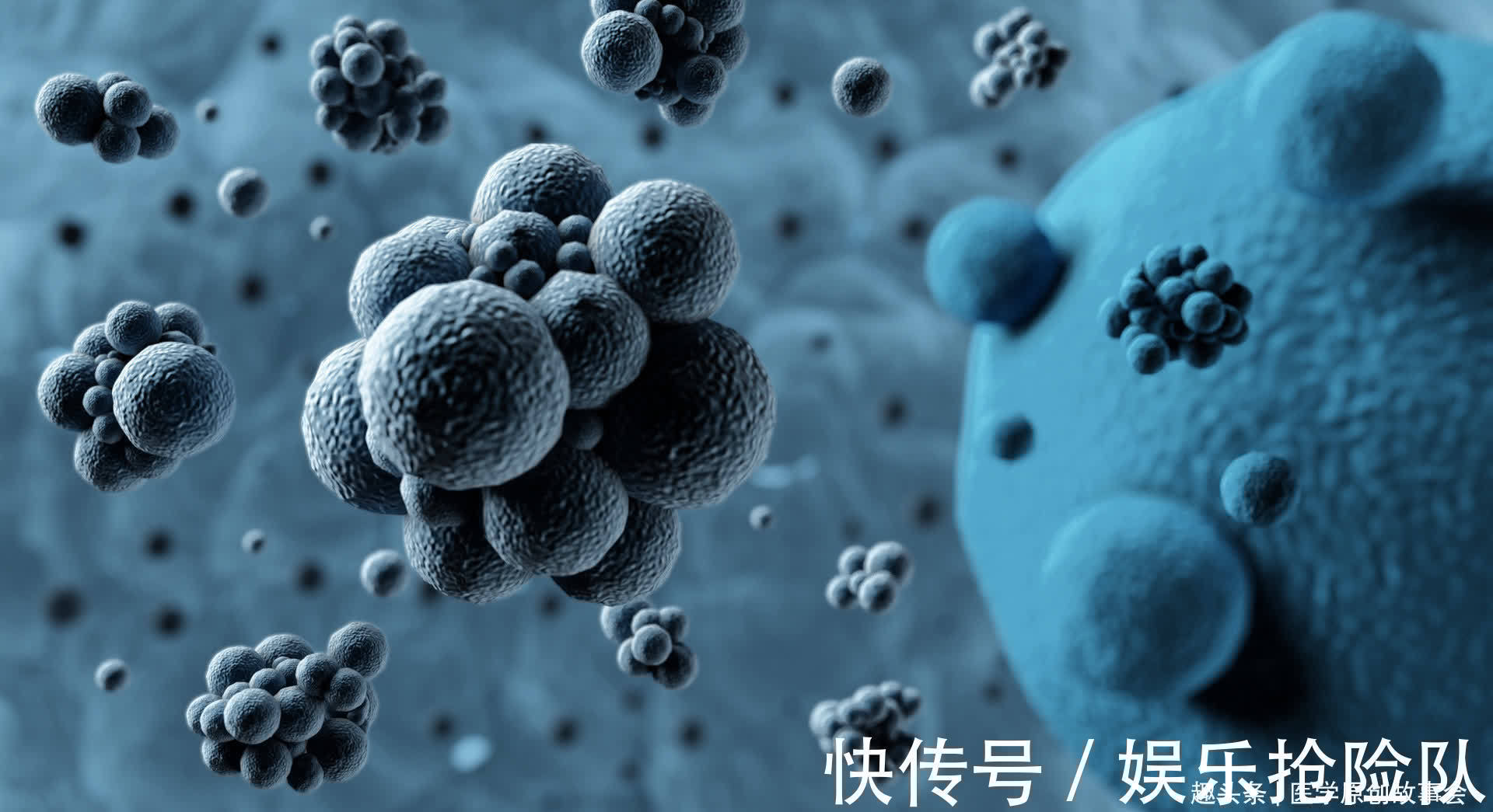 癌前病变|晚期癌症只能活活痛死?癌症根本不用治?肿瘤院长讲了十个真相