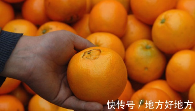 大家伙|女性不想过早衰老,不妨多食此果,美容淡斑,肌肤水嫩更细腻