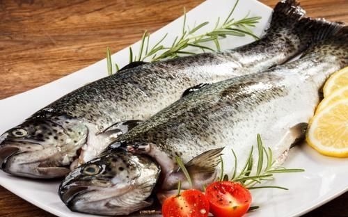 鱼肉|吃鱼不利于身体健康?建议:4种鱼肉尽量少吃,或会适得其反