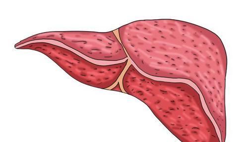 肝硬化附身，身体3处会露出端倪，早些发现，肝