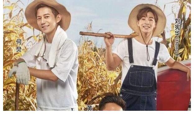 近年来的6部优质综艺，每一档都值得反复刷