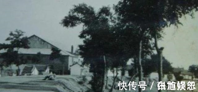 江冬秀#1962年，胡适先生溘然长逝，妻子抱怨：一辈子装得像个慈善家