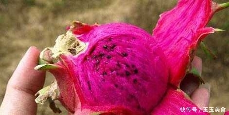 吃火龍果一小時(shí)內(nèi) 切忌碰此2種食物