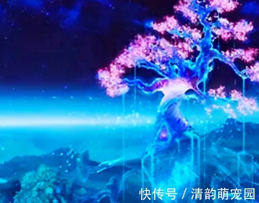 女儿国王$西游记后:唐僧成佛后回到女儿国才发现,女儿国王整整等了他十世