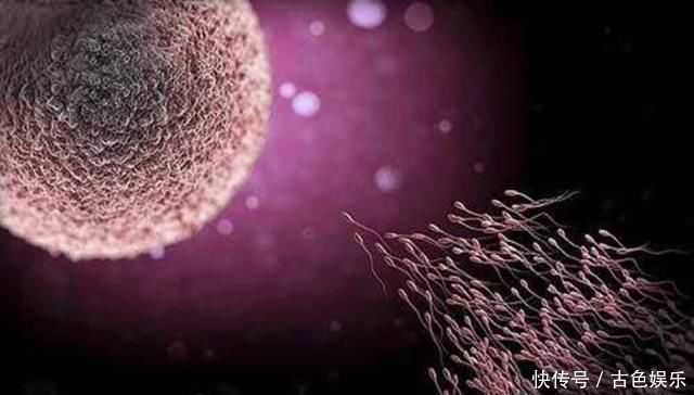 白带增多|别再为了怀孕计算排卵期了,看身体反应,出现三个说明排卵期来了