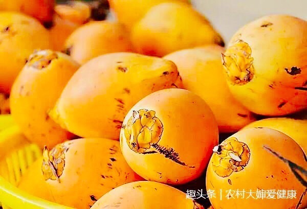 胆固醇|农村此果是穷人“救命果”,女性多食,排污血,让皮肤红润光滑