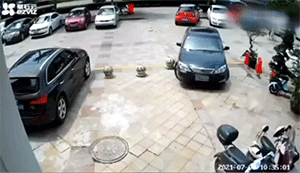 |史上最毒的10张搞笑gif动图太搞笑段子,不收藏就找不到了