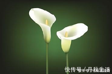 唐明皇$纳兰性德最感人的一首词,不知温柔了多少人的时光