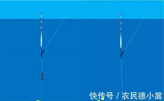 鱼类|夏季水库钓黄尾,钓位选择和调漂技巧,能否钓到鱼,这几点是关键