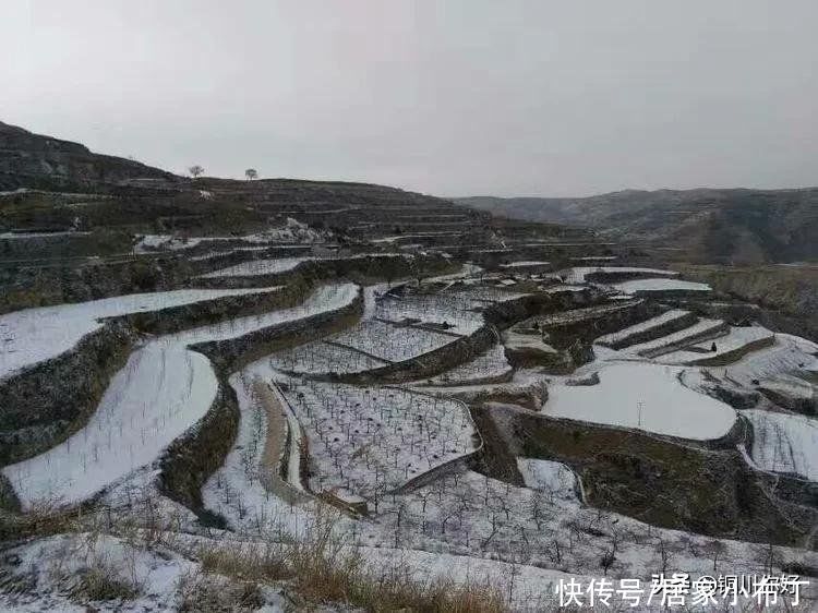 沙漠水：初春的小雪