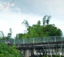 男版李子柒養(yǎng)豬種田做農(nóng)活,歲月靜好!