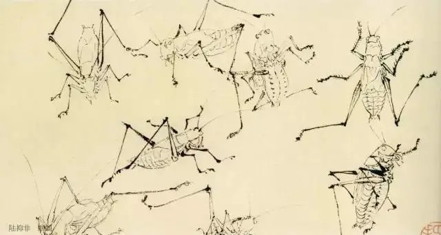 蝈蝈$国画技法图典——草虫篇:蝗虫 蚂蚱 蝈蝈 螽斯 螳螂 蟋蟀