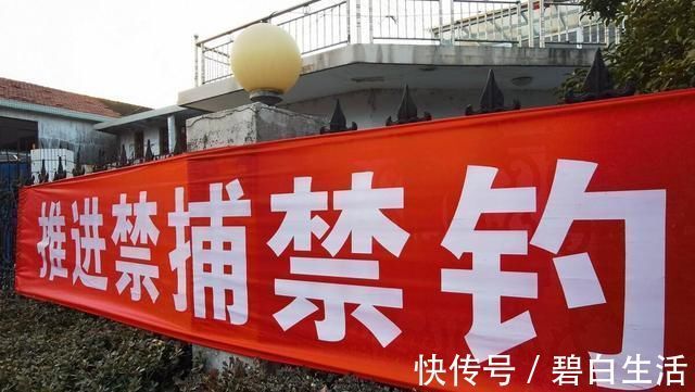 钓鱼|钓12斤鲈鱼被查,长江一杆一线垂钓,为何成了非法偷钓?