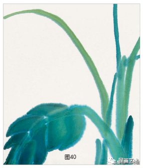 教程@图文教程——芭蕉画法