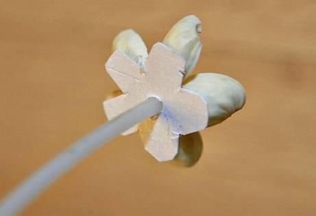 保证|吃完的坚果不能丢,坚果壳变身记,保证创意一箩筐