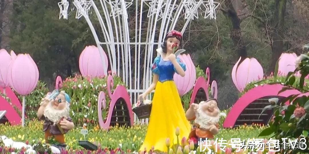 打卡|踏春好去处！18万株郁金香竞相绽放等你来打卡