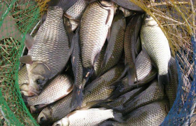 钓鱼光看天气还不行,前置天气同样重要,准确率大幅提高