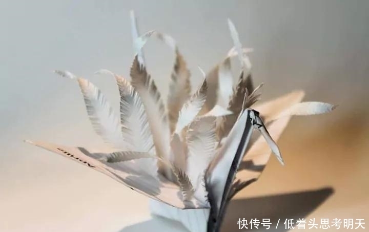  重样|每天折一只千纸鹤，他坚持了1000天不重样，女友被感动到梨花带雨