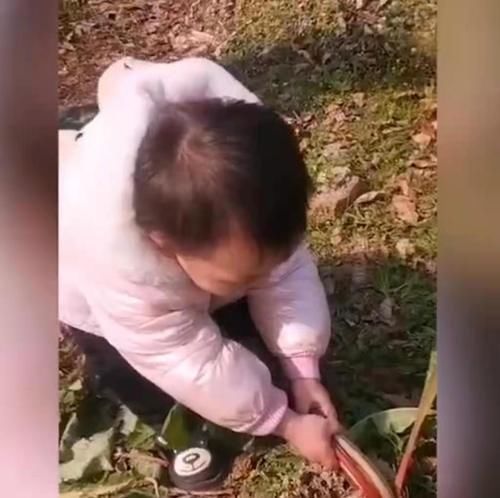 兴趣爱好|萌娃边唱歌边拔萝卜，下一秒摔了个人仰马翻，网友：萝卜太不配合
