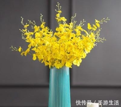 家里万万不要养这几种花,难怪身体越住越差,懊悔没早些发现!