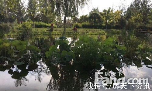 谍照|请查收从廊坊燕郊热门楼盘现场传来多张谍照（组图）