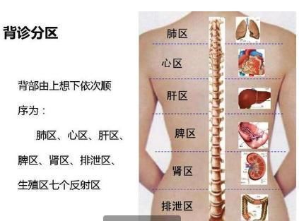 太全面了中医面诊+背诊+手诊知识精华，收藏了吧