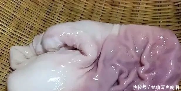 冬季进补，鸡牛羊都没它好，炖一锅滋补又美味，孩子常吃免疫力强