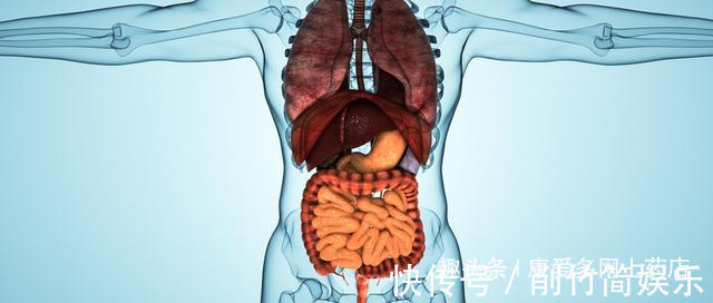 脾胃虚弱|脾胃虚弱,多半是由4种原因导致的,正确调理只需3招即可