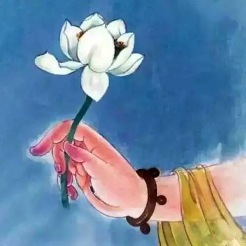 天花&原来这三个意境无比美丽的成语来自佛教,看完心境都美了