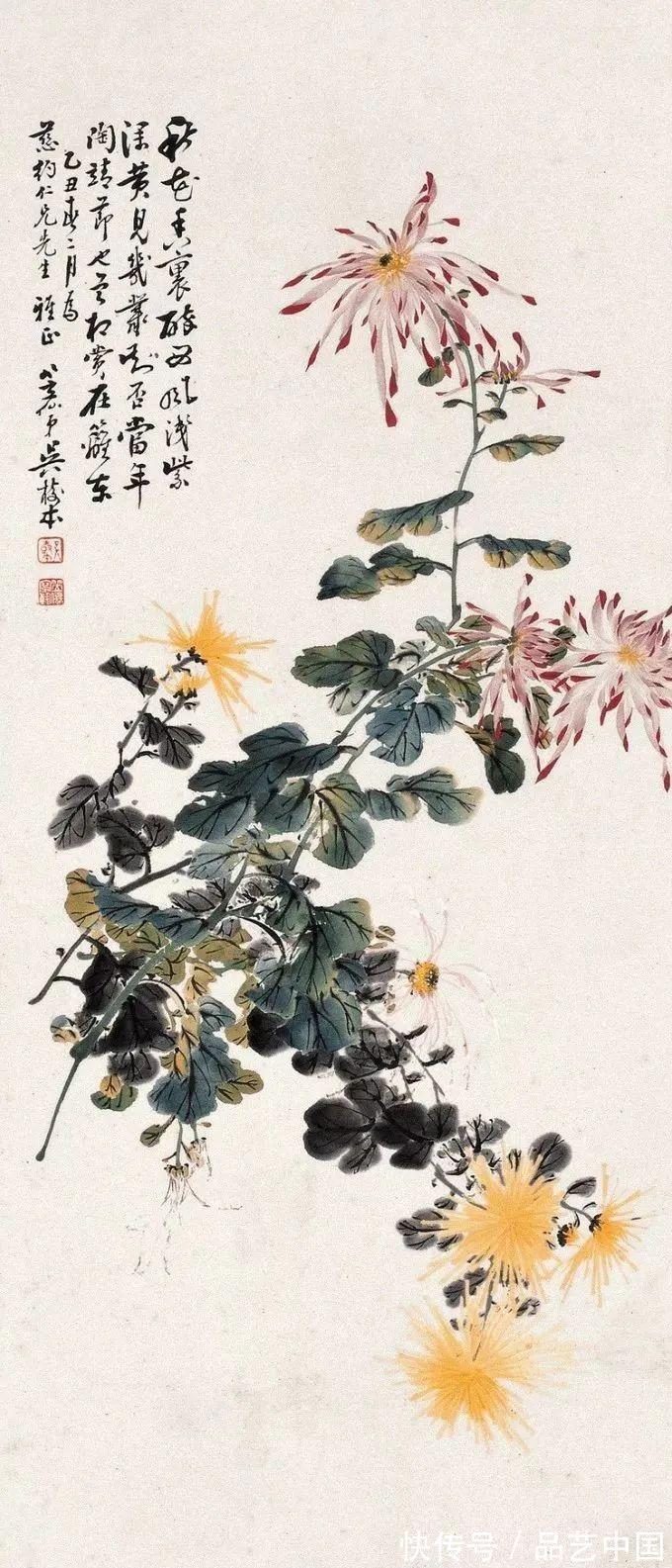 金菊#小写意画金菊,让人醉!