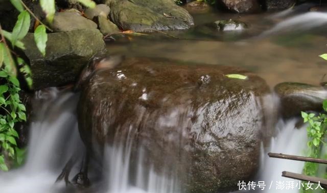 空山新雨后，一起到腾冲感受雨季的魅力