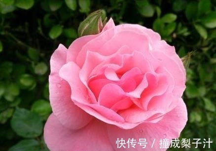 虎虎虎|62年的“虎虎虎”到了60岁，以后生活过得如何？属虎人好好看看