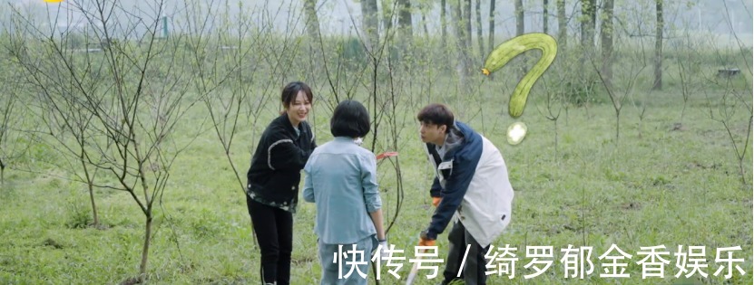 张子枫|《向往》迎来最真实嘉宾!吐槽节目组直言想回家,张艺兴很照顾她