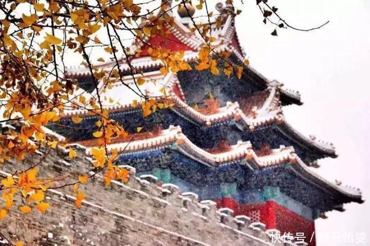 作文素材:名家笔下的冬天描写,建议抄写!