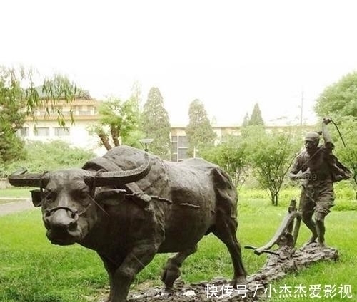 你不知道的那些历史上奇怪的法律规定,知道后再也不想穿越回古代