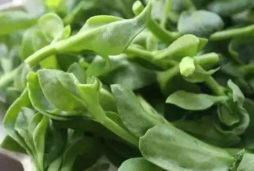 排毒|女性过了30,多食3种蔬菜,排毒护肝,保护血管,美味又健康