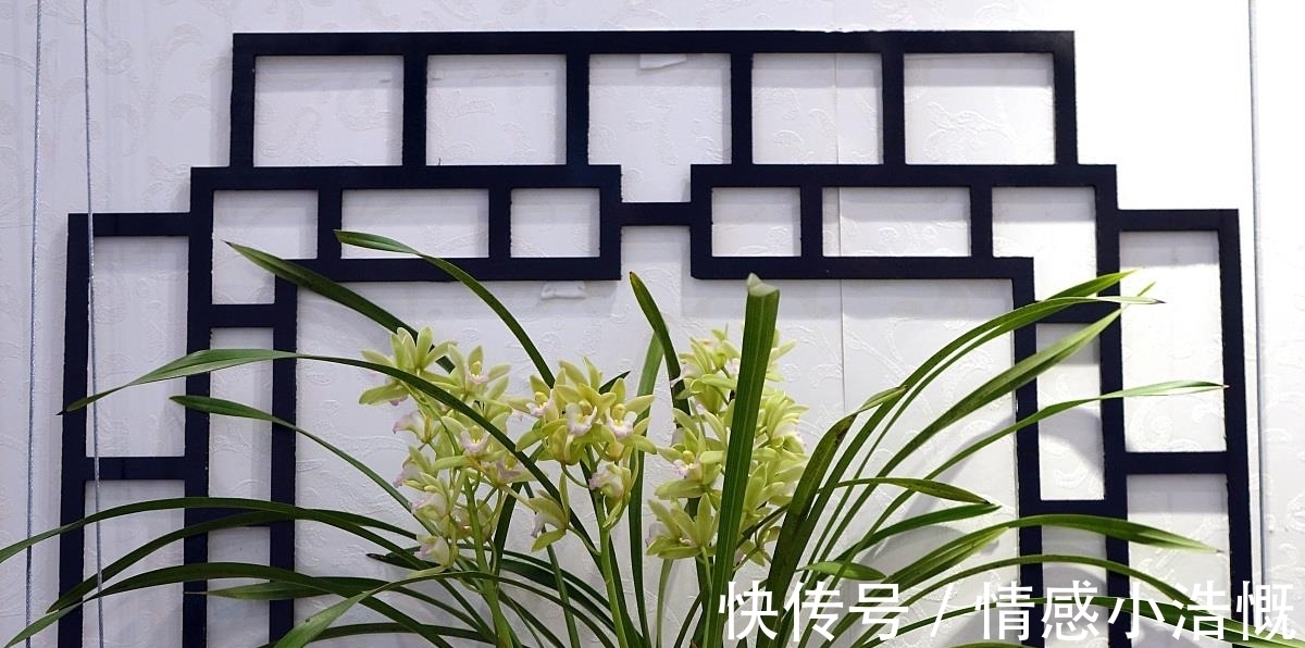 绮秀&兰:淡雅清香远,芉袅意态仙