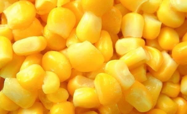 野钓时四种错误的打窝方式,钓不到鱼还浪费饵料