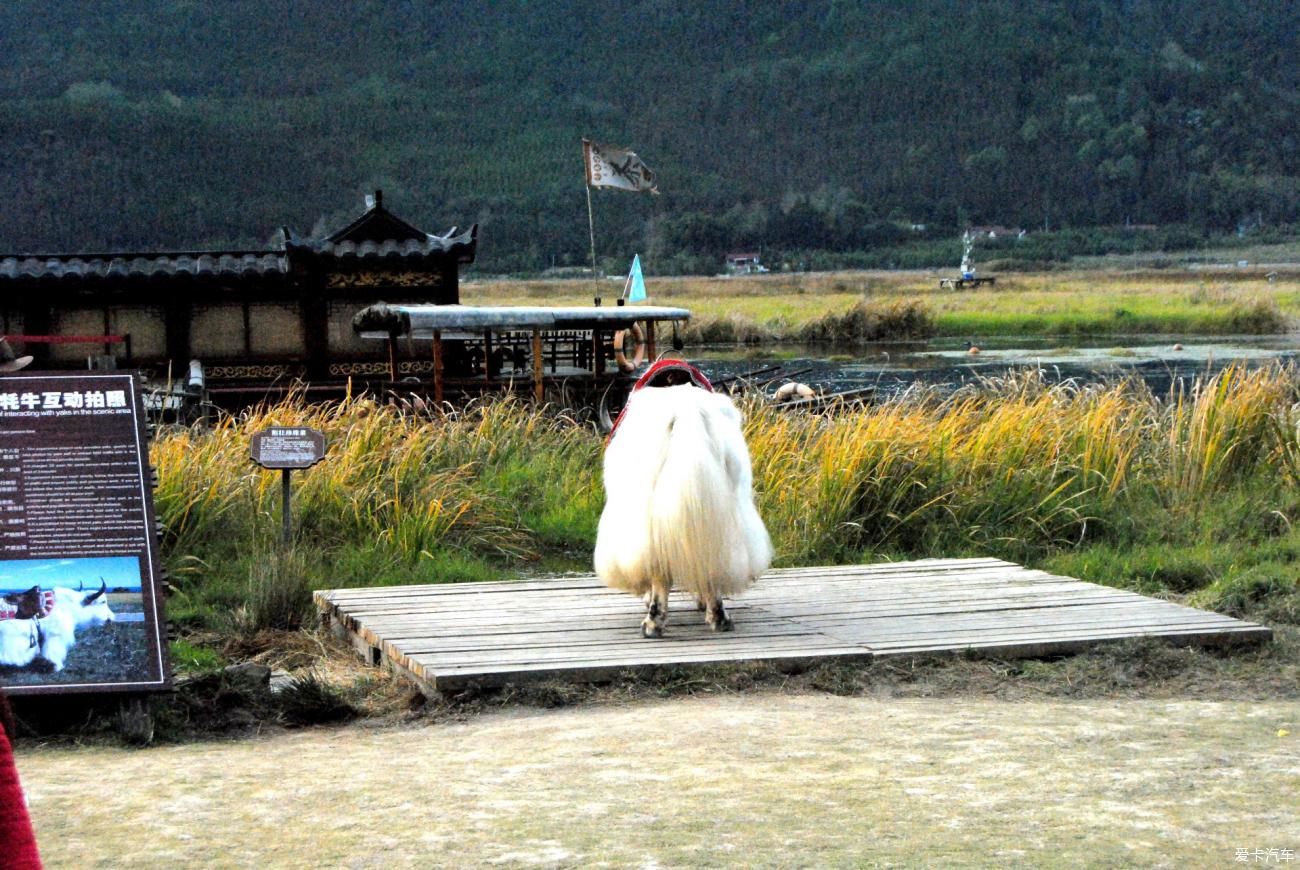 湿地|北海湿地小镇