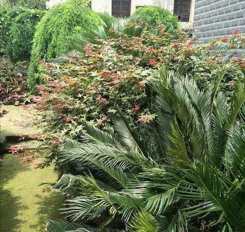 罗马柱|去男友乡下老家,他说的茅草房原来是别墅,感觉自己赚翻了