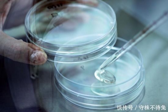 鼠李糖乳杆菌|抗过敏益生菌如何选择？不是所有益生菌都有用，菌种搭配很重要