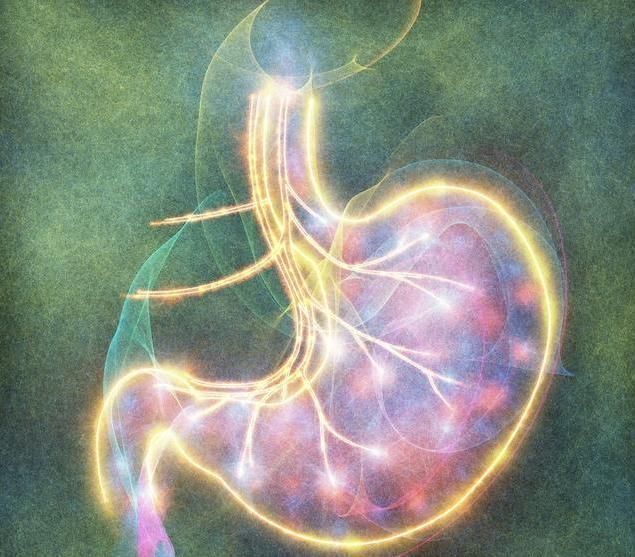 卷心菜|胃不好的人放心,幽门螺杆菌其实不难除,只是需要注意3点