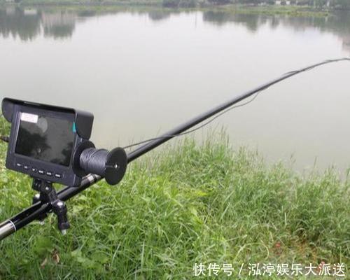 锚鱼被首次定性,4斤多的鲤鱼换来2个月拘留,钓鱼人小心了