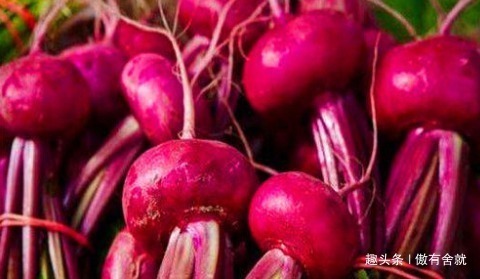 营养物质|想长寿要会吃,坚持吃3种食物,延缓衰老、补血养气,有益健康