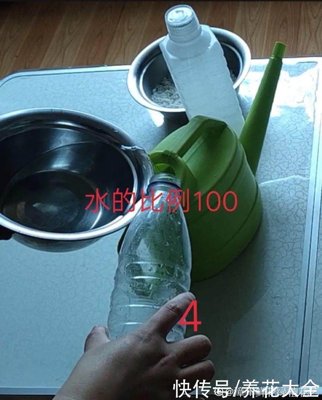 给花浇水掺点白醋，植物根比萝卜还粗，健壮不黄叶