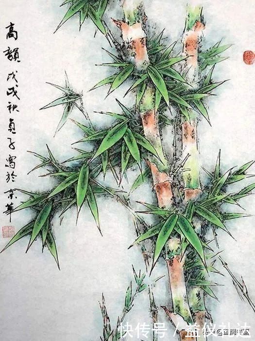 竹子@国画中竹显气节,其画法并不局限于水墨,彩墨竹子别有韵味