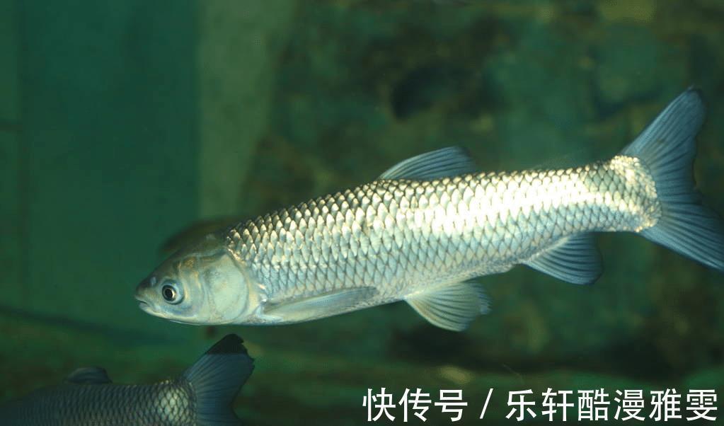 去超市囤物质时，最近这6种食物大降价，多买一些囤着，有备无患