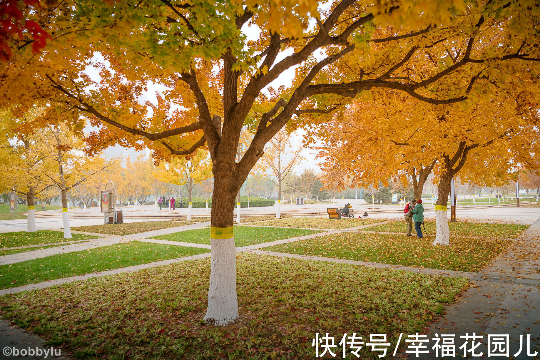 雾霾|西海子里藏着三庙一塔？雾霾难掩京东秋色！跟随镜头另眼看通州